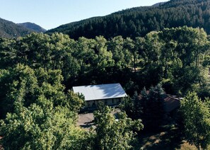 A house surrounded by dense forest with a metal roof, set in a mountainous area.