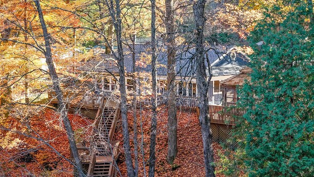 Eine Baumhütte mit Holzplattformen und einer Leiter, umgeben von Herbstlaub.