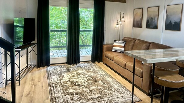 Un salon confortable avec un canapé, une table basse, un téléviseur et une table à manger.