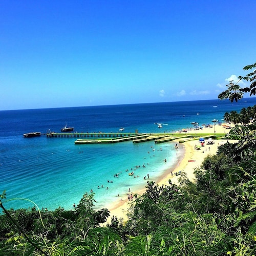 Luna Del Mar Palmas - Near Crash Boat Beach