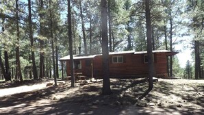 Uma cabana numa floresta, com chão de terra e árvores ao redor.