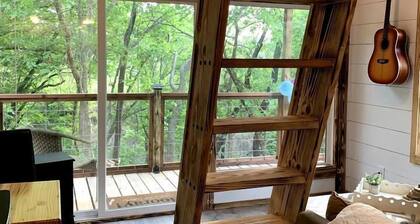 Enchanting Pecan Treehouse with Creek Views near Forestburg, Texas