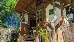 A rustic wooden house with a porch, a staircase, and a tree integrated into the structure.