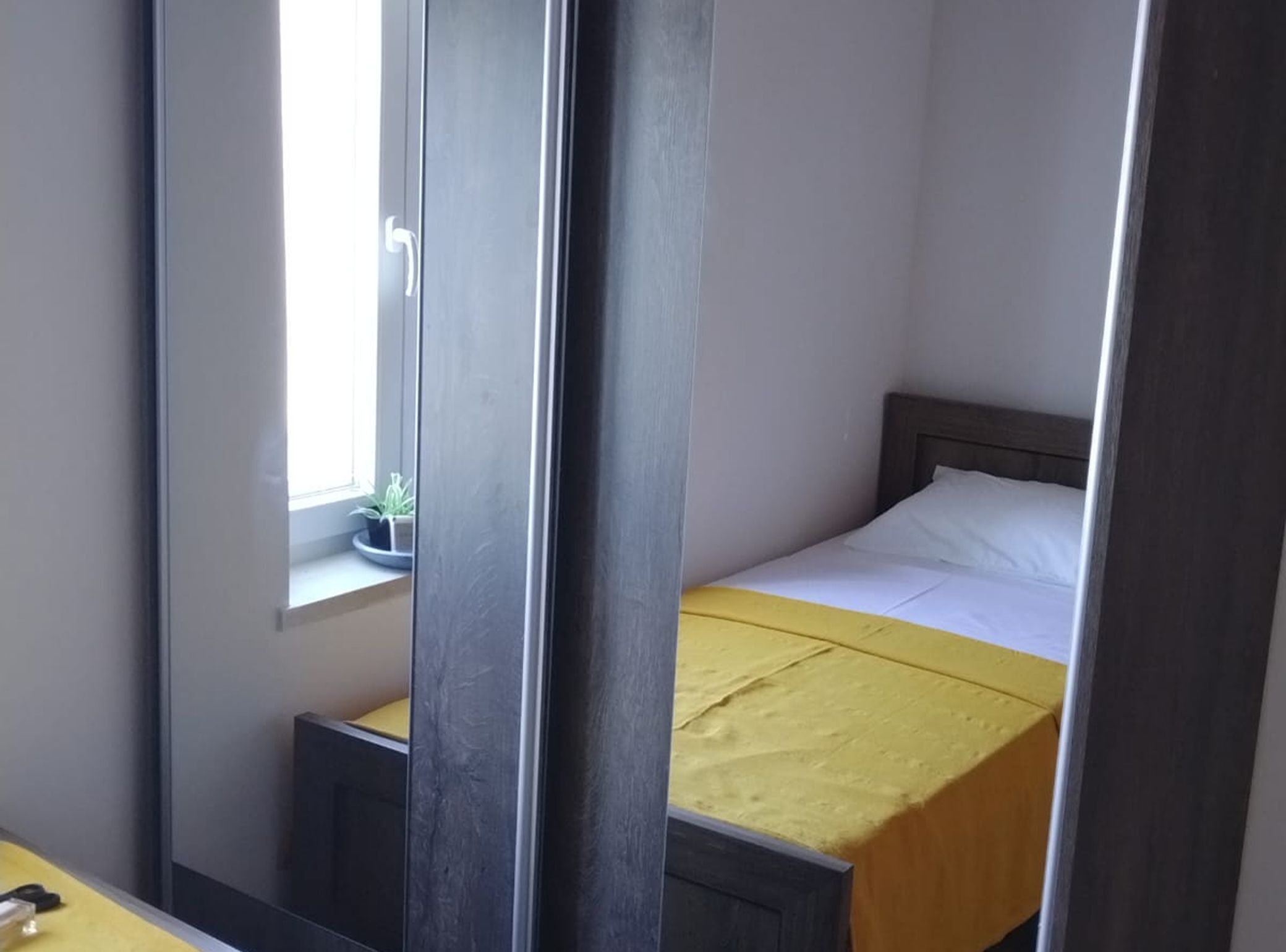 A small, single-bed room with a window, a bedside table, and a potted plant.