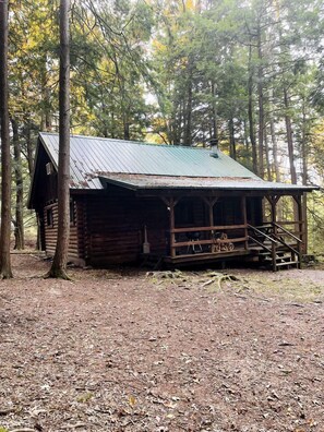 A rustic cabin with a metal roof, wooden walls, and a porch with steps leading up to it, surrounded by trees.