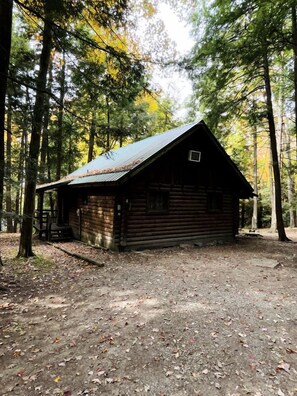A rustic cabin with a metal roof, surrounded by tall trees and a dirt ground. - Quaint Cabin Rental in Pennsylvania for Cozy Family Getaways to Cook Forest (Clarington)