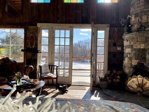 A cozy interior with a fireplace, a dog, and a view through a glass door.