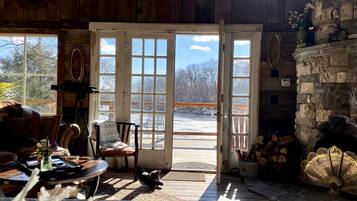 A cozy interior with a fireplace, a dog, and a view through a glass door.