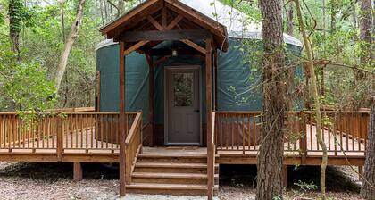 Glamping Trips near Lake Livingston, for Wonderful Escapes to Nature in Texas in this Yurt