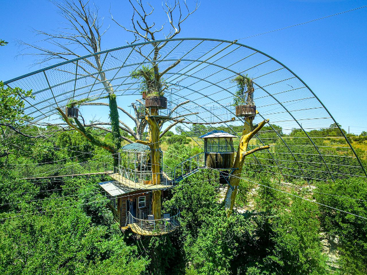 Una casa en el árbol con plataforma y una pequeña cabaña, rodeada por un dosel de malla metálica.