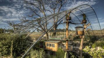 Une cabane dans les arbres reliée à un pont métallique, entourée d’arbres et de végétation.