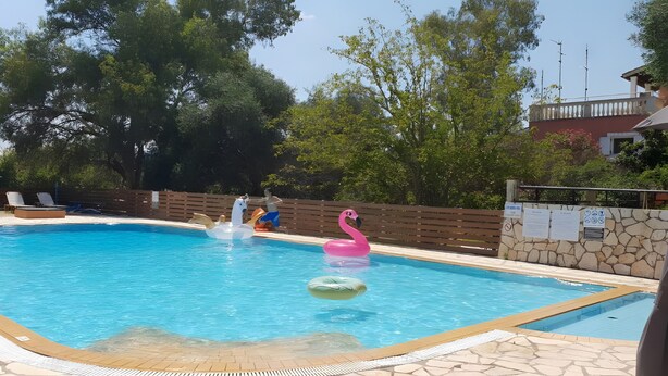 Une piscine agrémentée de bouées en forme de cygne et de flamant rose, entourée d’un mur de pierre et d’arbres.