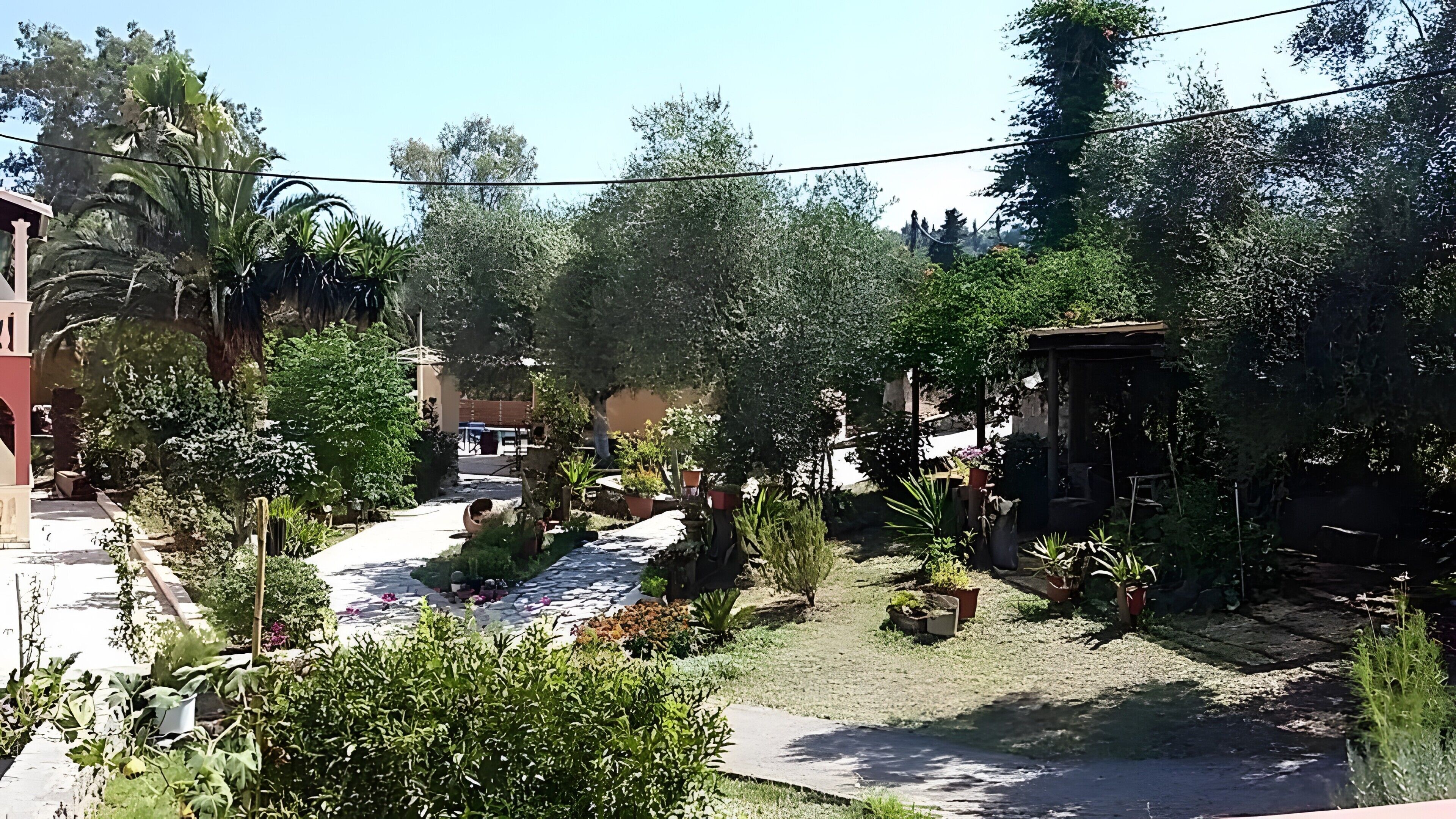 Ein Garten mit einem gepflasterten Weg, Blumentöpfen und einer kleinen Struktur.