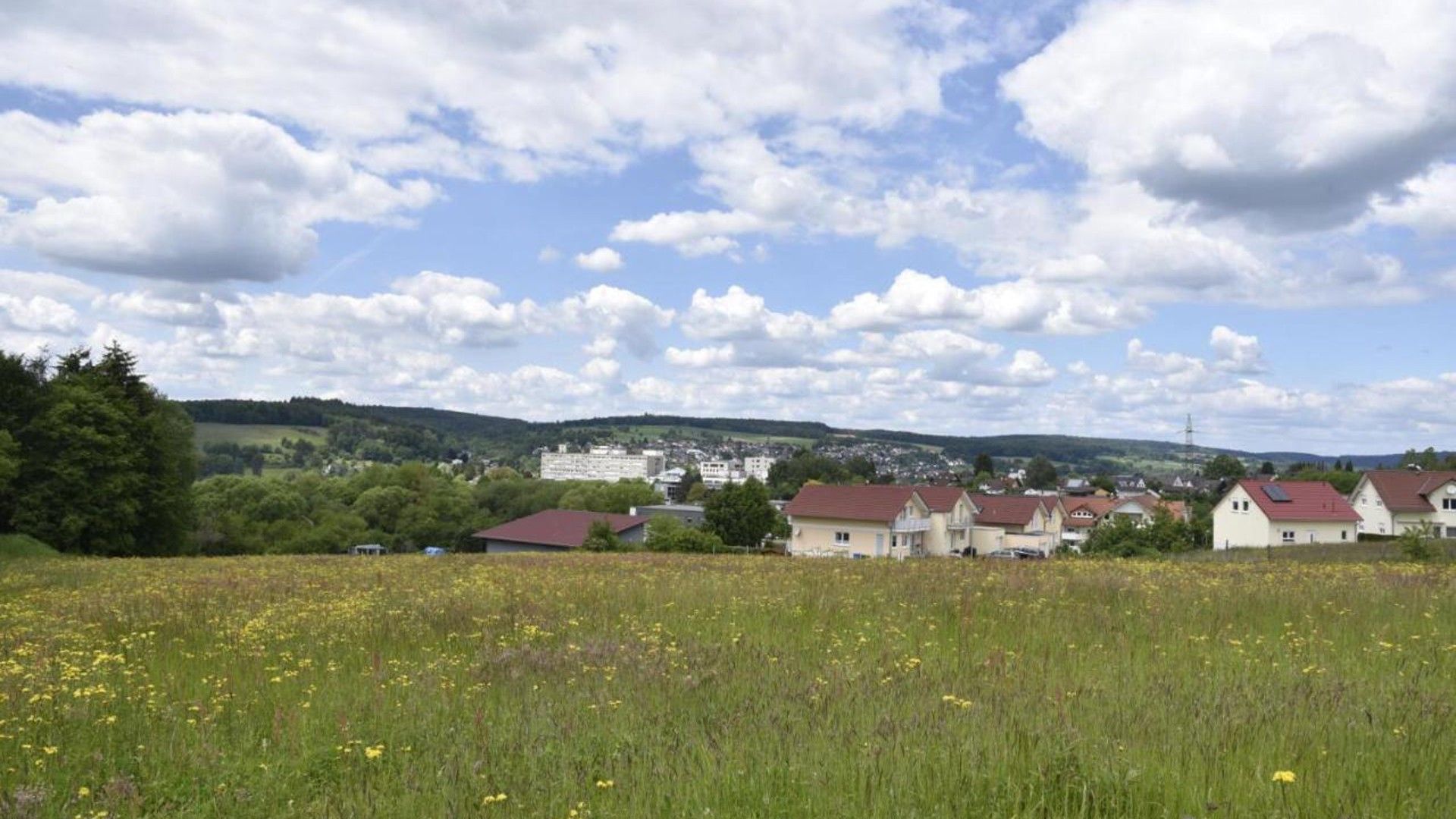 Paisaje rural con un campo de flores amarillas, un grupo de casas con tejados rojos y una vista distante de un pueblo con edificios y una colina al fondo.