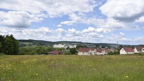 Ländliche Landschaft mit einem Feld voller gelber Blumen, einer Ansammlung von Häusern mit roten Dächern und einem entfernten Blick auf eine Stadt mit Gebäuden und einem Hügel im Hintergrund.
