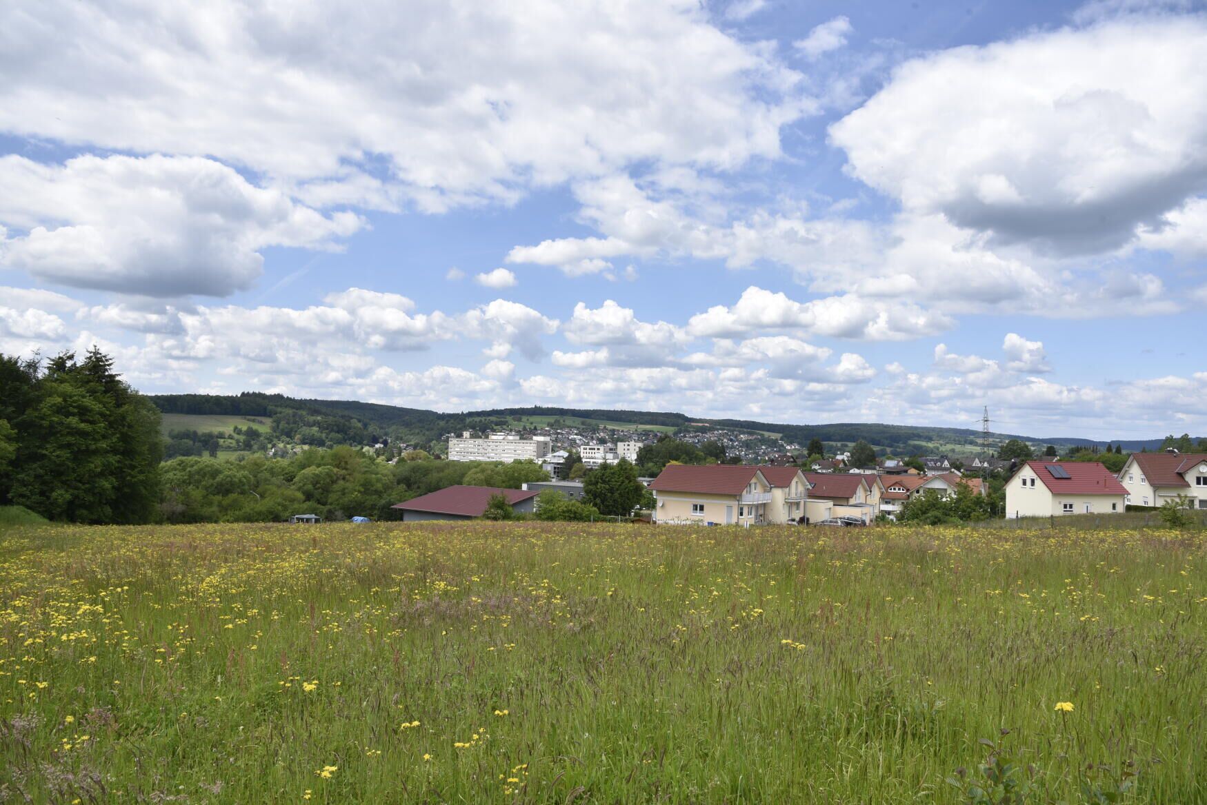 Ein Wohngebiet mit Häusern, einem Feld voller gelber Blumen und einer entfernten Ansicht einer Stadt mit einem großen Gebäude.