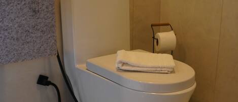 Een moderne badkamer met een wit toilet, een handdoekhouder voor papieren handdoekjes, en een stopcontact op de muur.