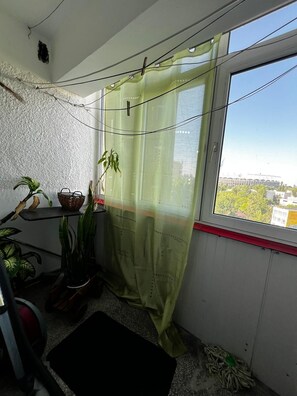 A small room with a window, a green curtain, a potted plant, and a black mat.