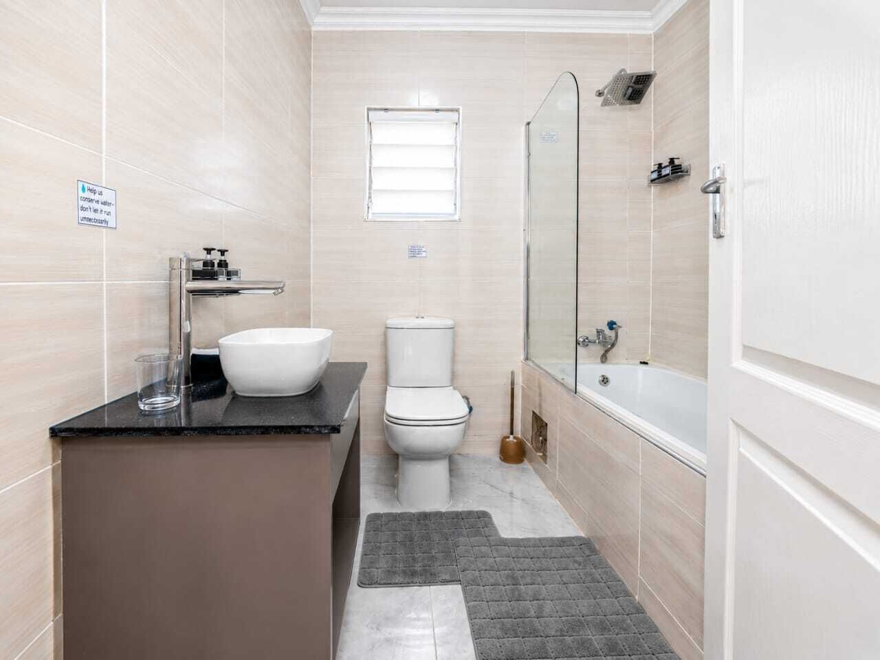 Hair dryer, towels, soap, shampoo