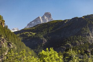 Et bjerglandskab med en markant top, tæt skov og en lille bygning.