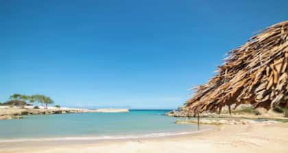 Aurelia- 1BR Luxury Beachfront Condo