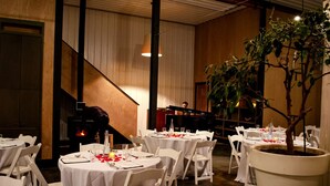 A restaurant with round tables, white chairs, a piano, and a large potted plant.