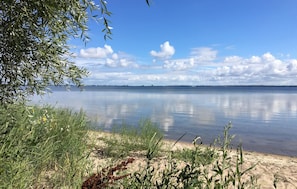 Ein ruhiger See mit sandigem Ufer und spärlicher Vegetation.