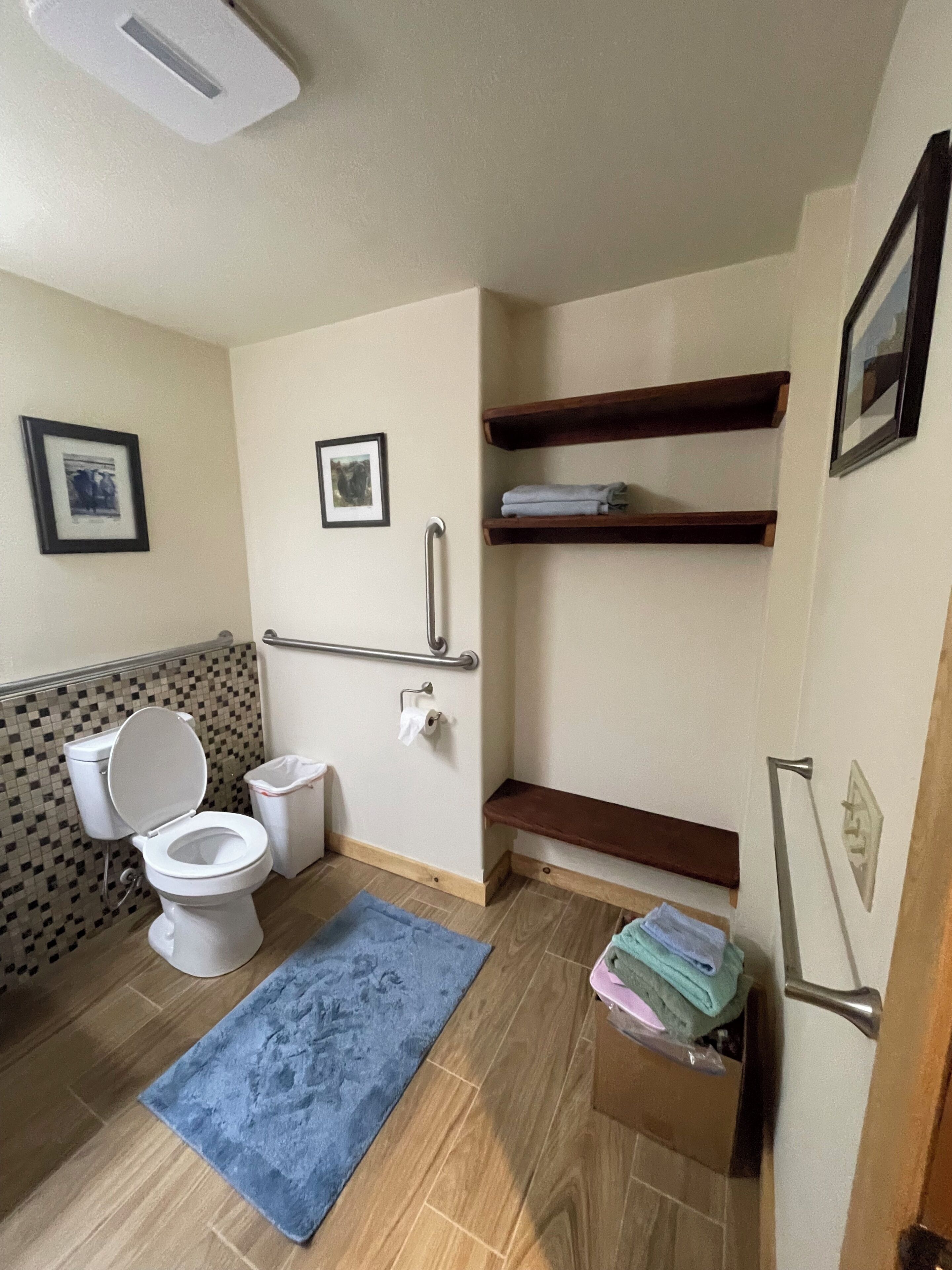 A bathroom with a toilet, a handrail, a blue rug, and wooden shelves.