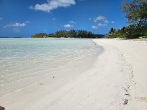 A beach with clear water, a sandy shore, and a line of trees in the background. - New 4 bedroom house in Spanish Wells just steps away from the beautiful beach. (Spanish Wells)