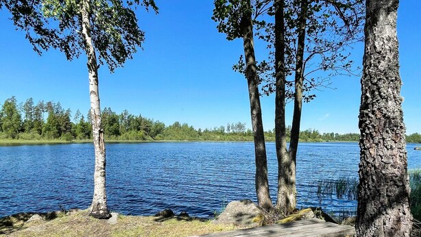 Un banc de fusta al costat d'un llac, amb arbres i un cel serè.
