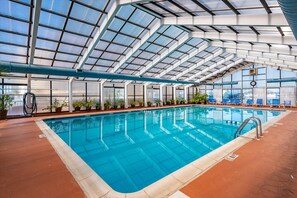 Piscina interna com teto de vidro, cercada por plantas em vasos e espreguiçadeiras azuis.