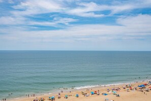 Beach - Century One-Beautiful 2 Bed Oceanfront with Indoor Pool! (Ocean City)