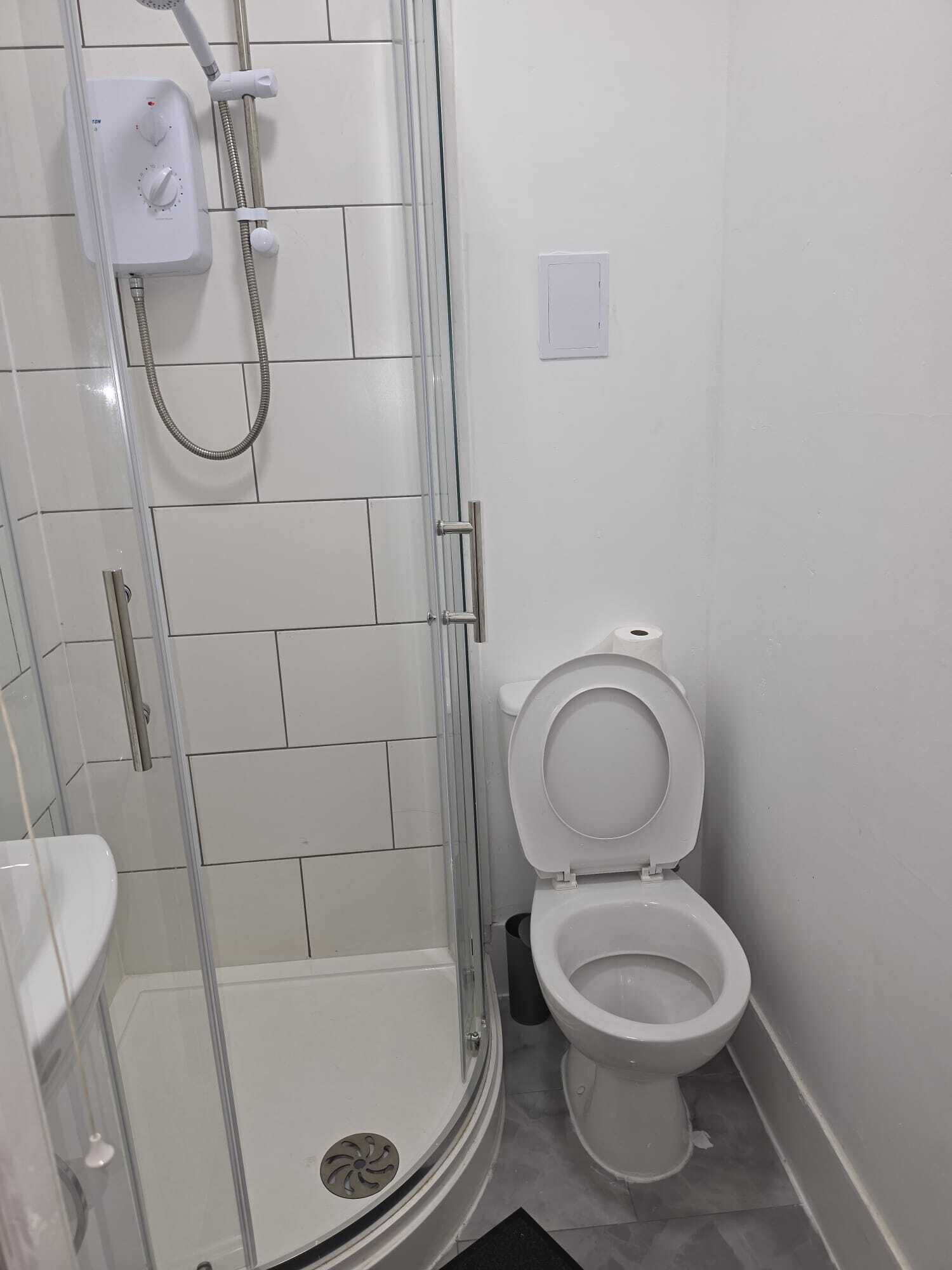 Shower, towels, toilet paper