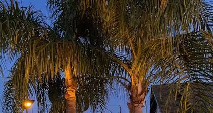 Stylish Retreat • Resort Backyard • Near Tampa