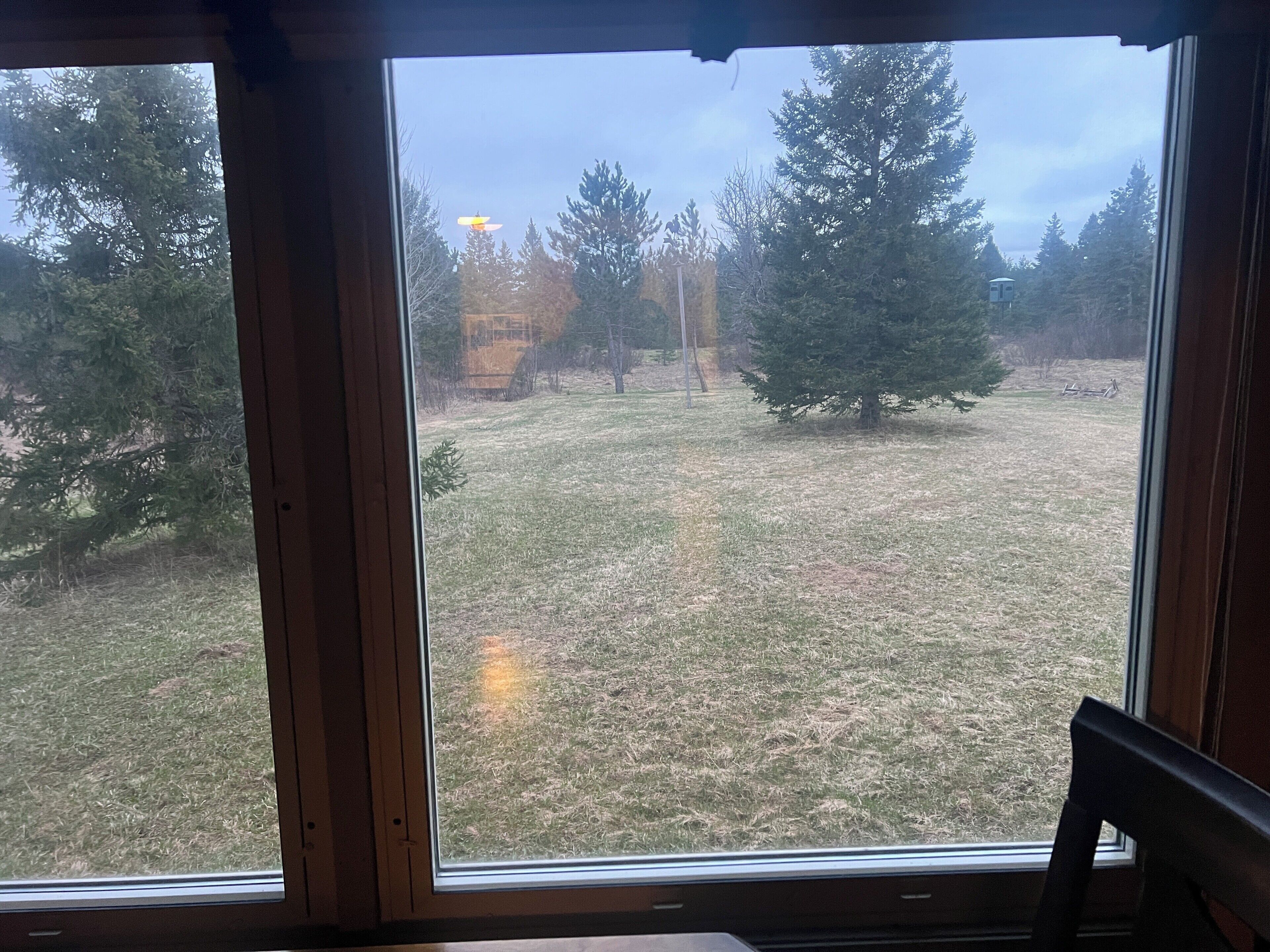 A room with a large window overlooking a grassy yard with trees and a small structure.