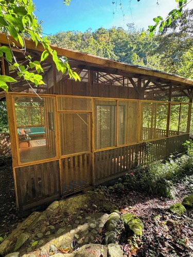 A wooden cabin immersed in nature, steps from the river.