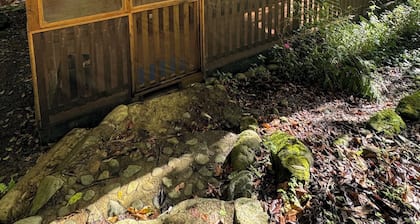A wooden cabin immersed in nature, steps from the river.