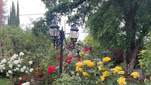 Um jardim com diversas plantas floridas e duas luminárias de rua pretas.
