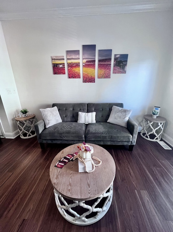 Large 3 Bedroom Townhome Downtown Clemson And Garage! Walk To Clemson Stadium! - 클렘슨