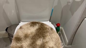 Towels