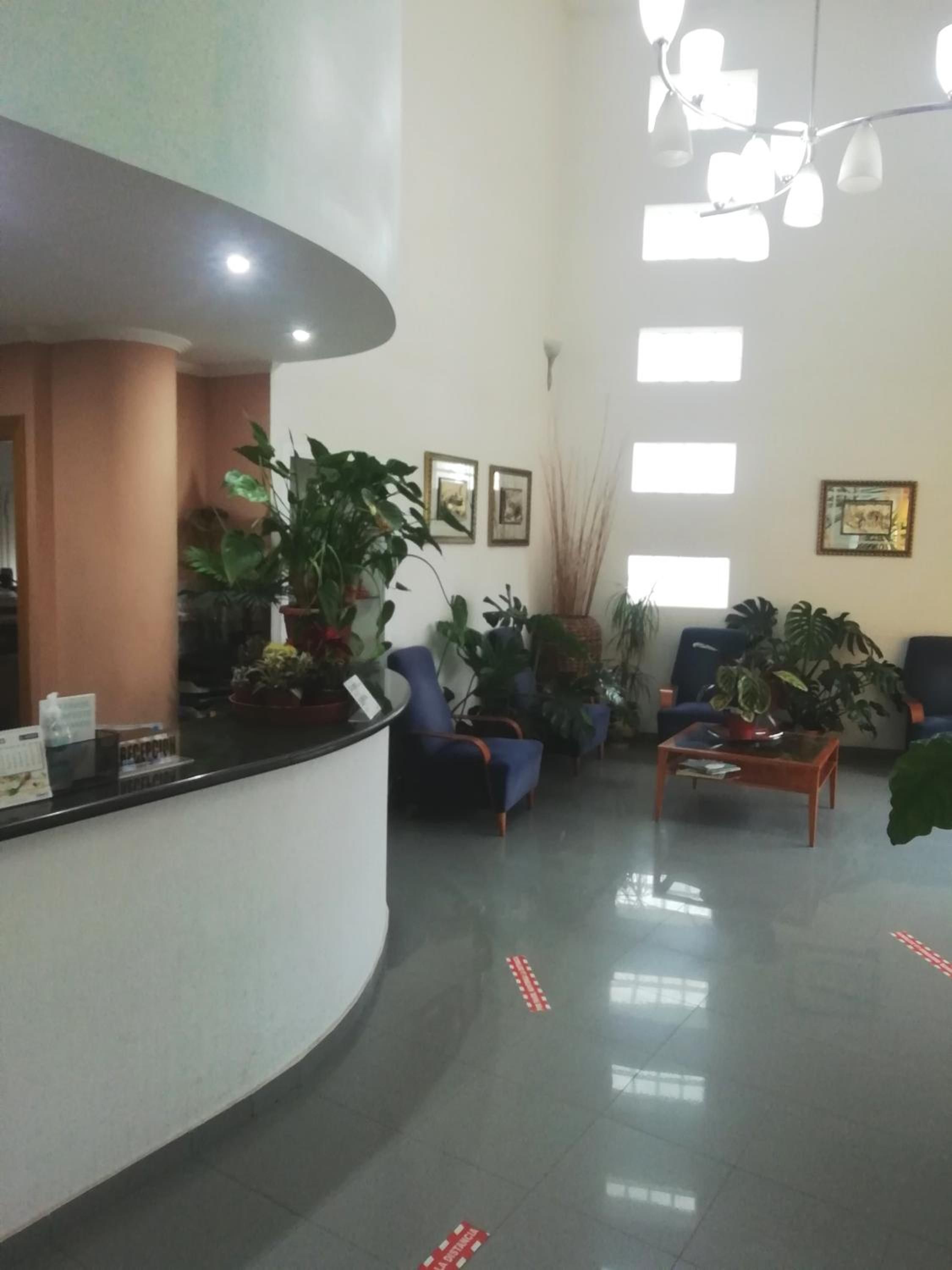 Una zona de recepció amb un mostrador corbat, seients, plantes en testos i quadres a les parets.
