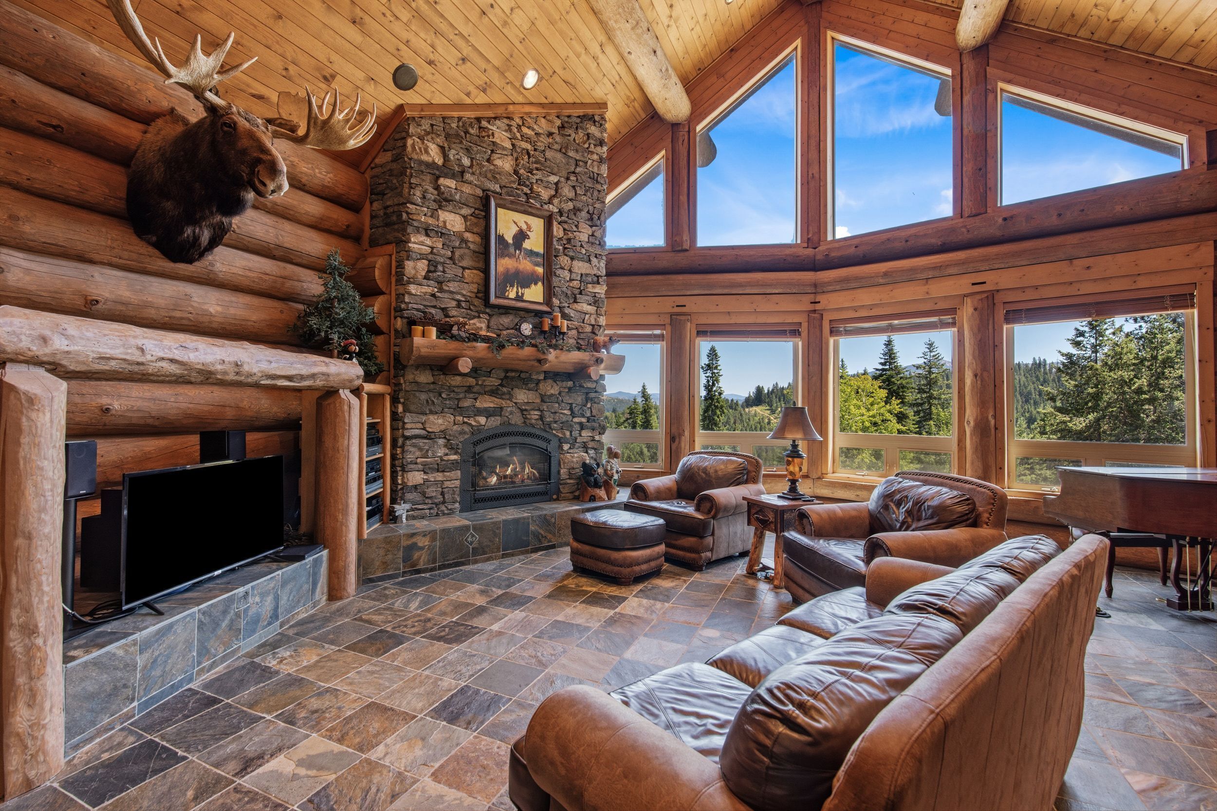 TV, fireplace, books, stereo