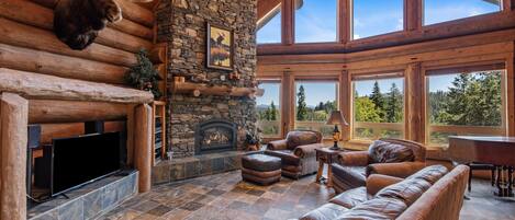 TV, fireplace, books, stereo