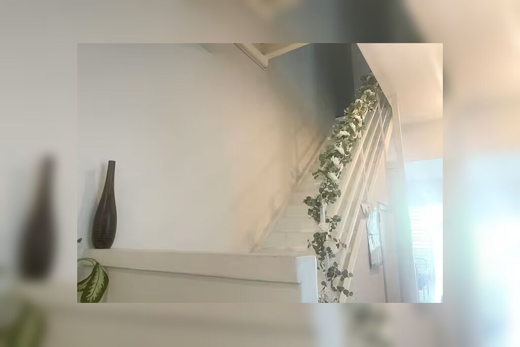 Une pièce avec un mur blanc, un vase foncé et une plante.