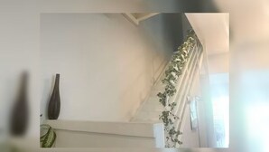 Ein Zimmer mit einer weißen Wand, einer dunklen Vase und einer Pflanze.