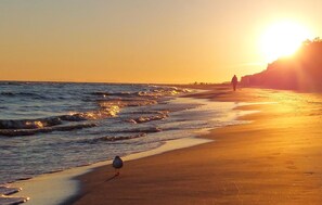 A beach with waves, a bird, and a sunset. - Amazing apartment in Ustronie Morskie with WiFi (Ustronie Morskie)