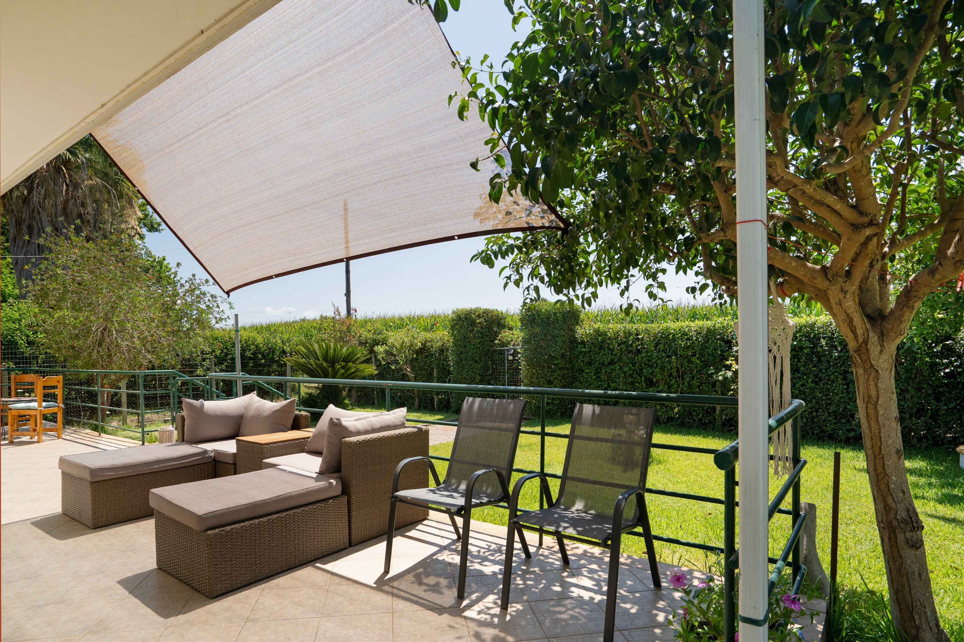 テラス / パティオ