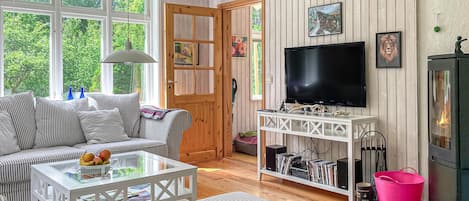 TV, fireplace, DVD player