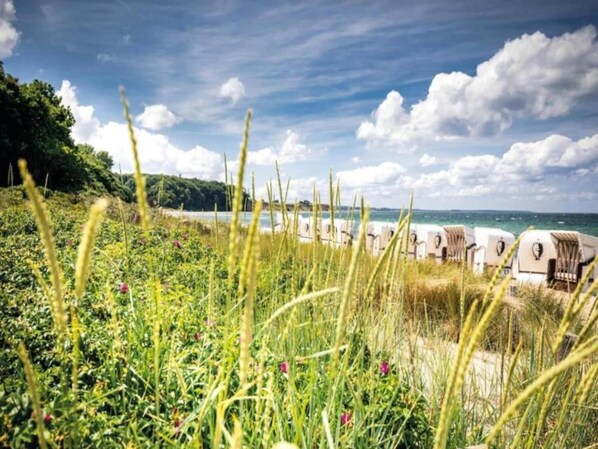 A row of beachside RVs with a grassy foreground and a clear view of the sea and sky. - 2 Large Apartments by the Baltic Sea (Hohenkirchen OT Beckerwitz)