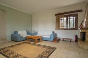 Ein Wohnzimmer mit zwei Sofas, einem Couchtisch, einem Kamin und einem Fenster mit Vorhängen.